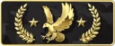 Legendary Eagle Master tier emblem