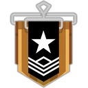 Bronze tier emblem