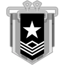 Silver tier emblem